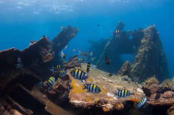 Bali Dive Site - Tulamben Wreck